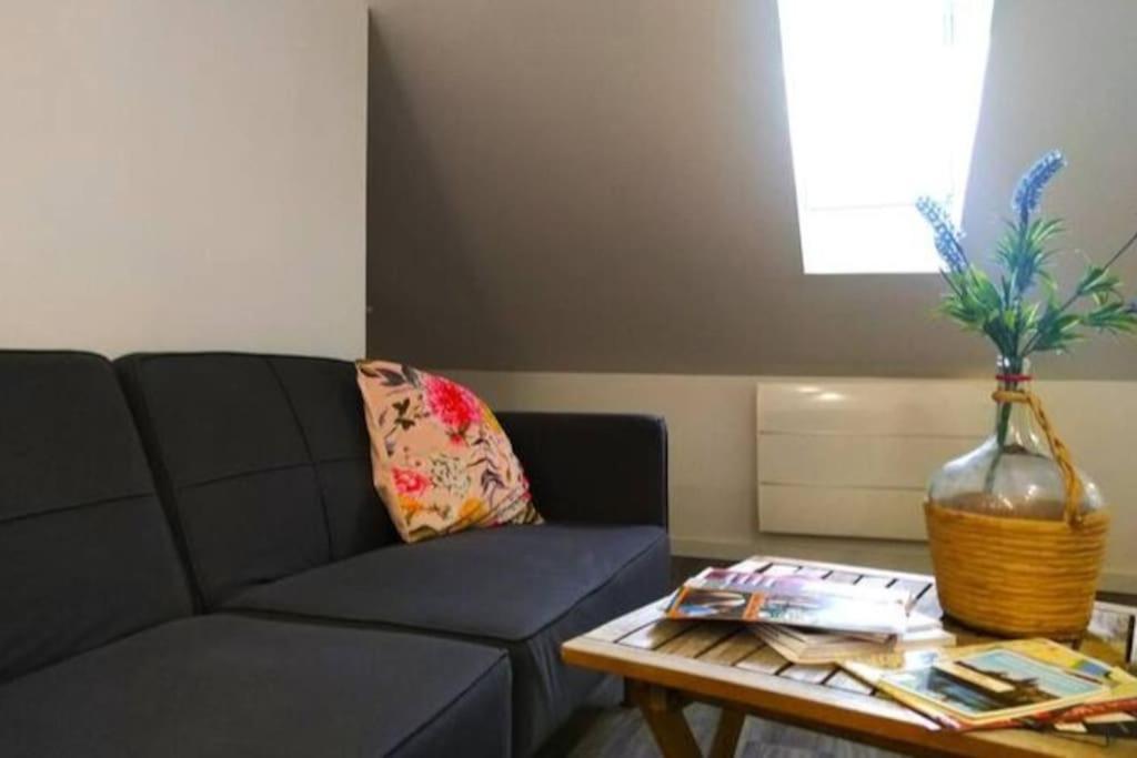 Le Cours Foucault - 3 Appartements - 8 Couchages Montauban Extérieur photo